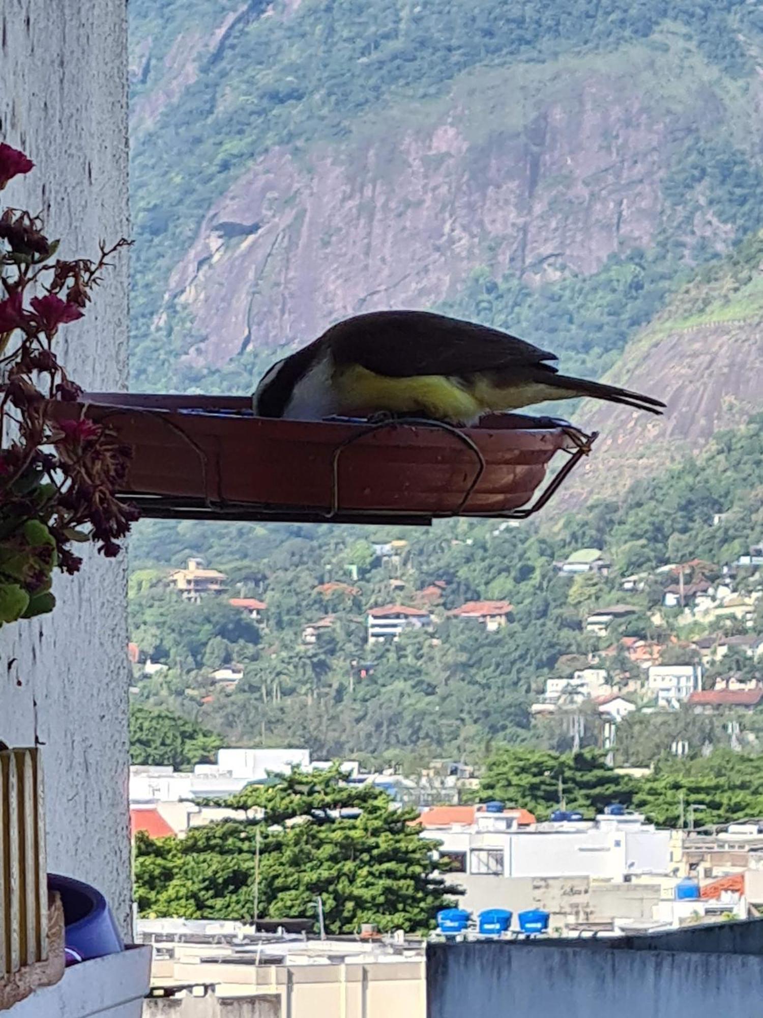 Apto Barra Da Tijuca Frente Pro Mar Рио-де-Жанейро Экстерьер фото